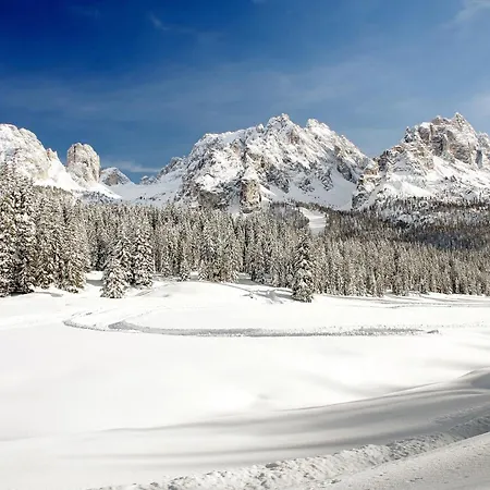 شقة Dolomiti E My Dreams ميسورينا